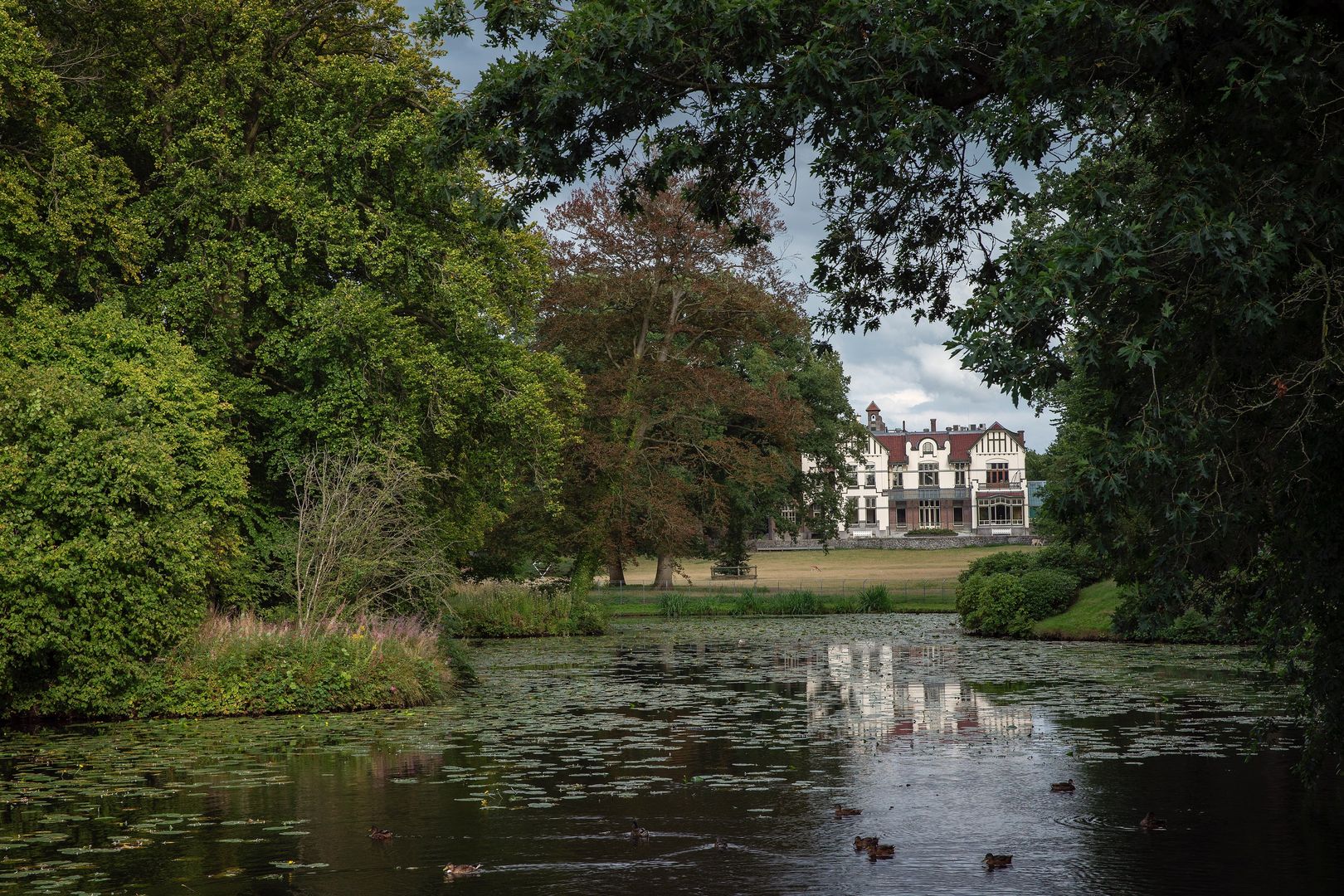 An image depicting the trail Steenwijk to Zuivelfabriek via De Eese and De Venne and its surrounding area.