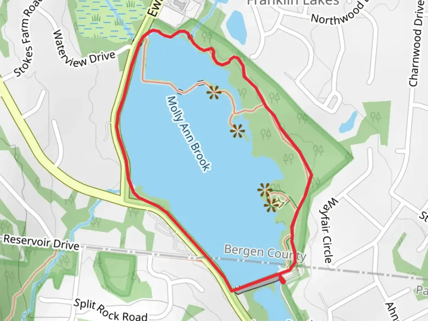 An image depicting the trail Haledon Reservoir Loop and its surrounding area.