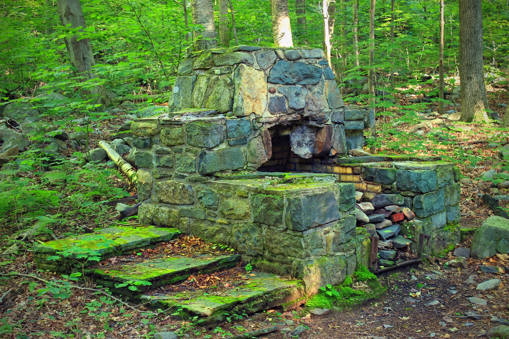 An image depicting the trail Devils Hole Creek from Devils Hole Road and its surrounding area.
