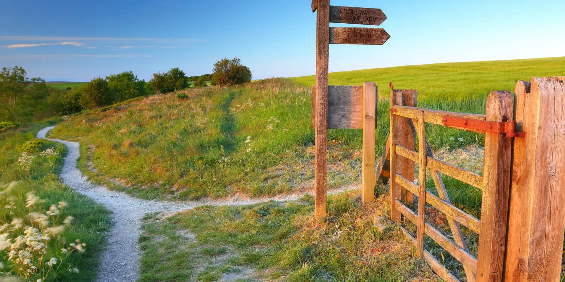 An image depicting the trail Cold Kirby - Sutton Bank - Whitestone Cliff - Boltby Scar - Gowerdale and Murton Heights and its surrounding area.