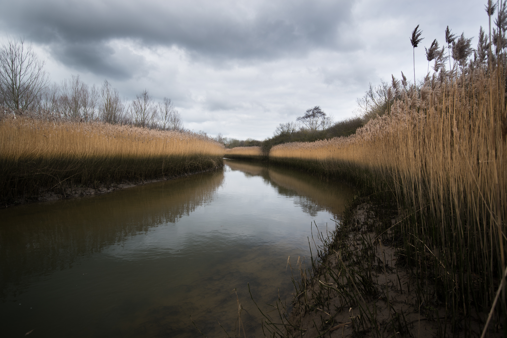 An image depicting the trail Kyson Hill and Kyson Point Walk - Woodbridge - Suffolk and its surrounding area.