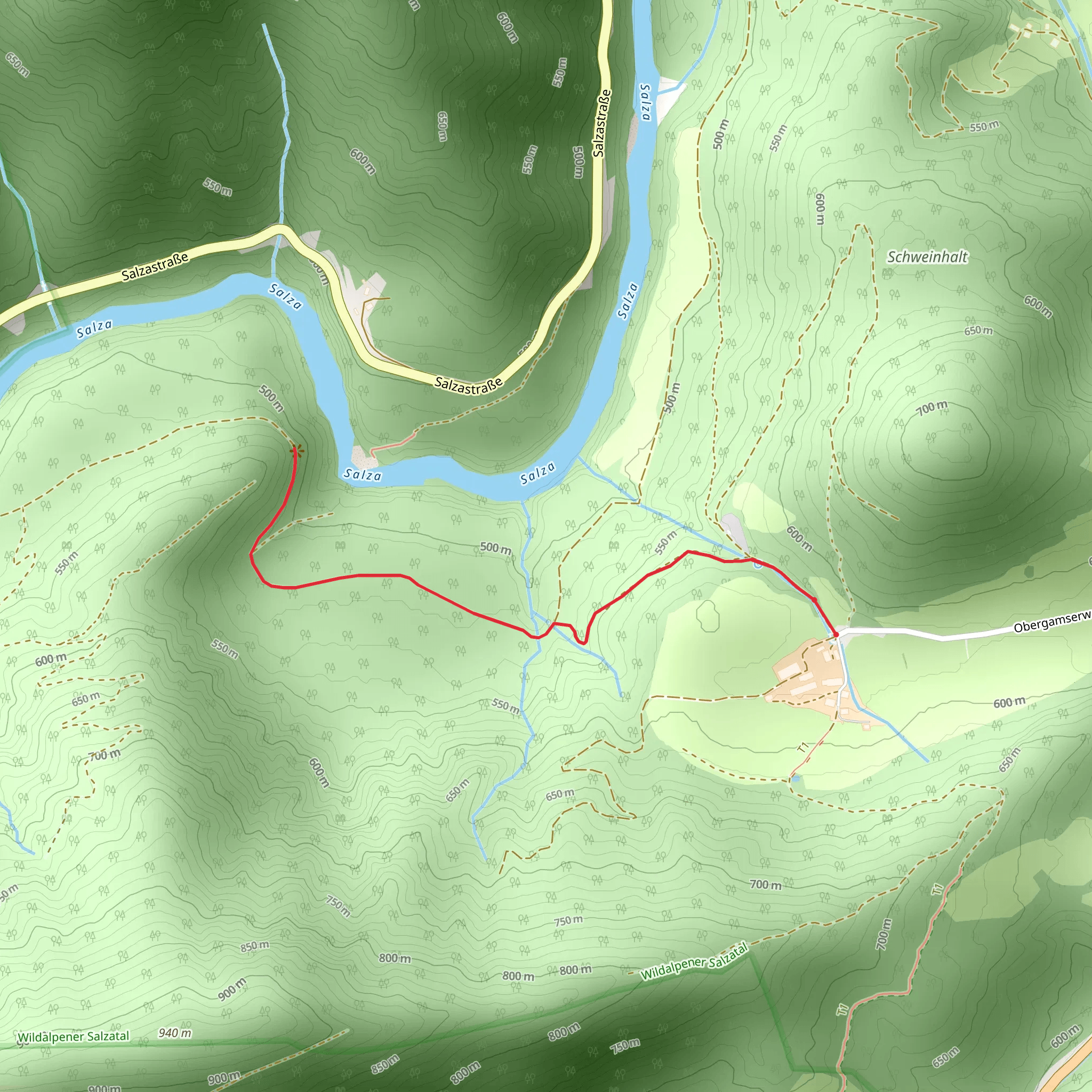 Klimafiter Wald - Gams mobile static map