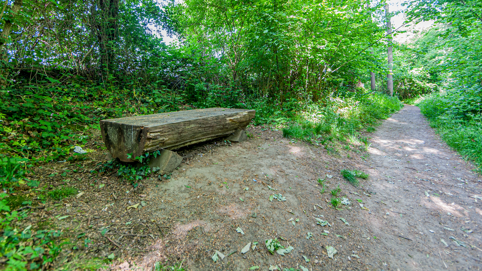 An image depicting the trail Ravenberg, Boterberg, Eversbos and Duivelsberg Loop and its surrounding area.