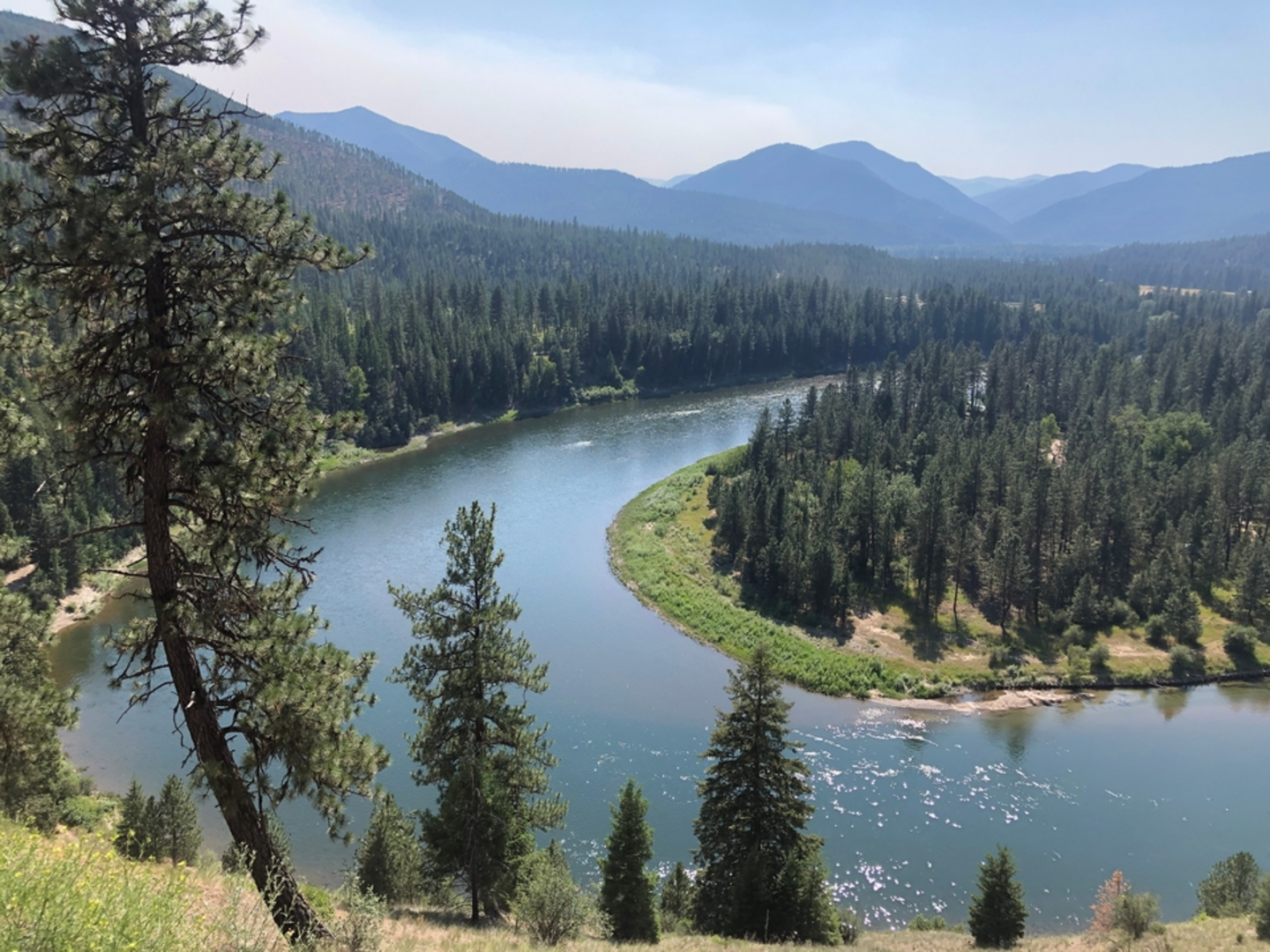 An image depicting the trail North Fork Little Joe Ridge Trail and its surrounding area.