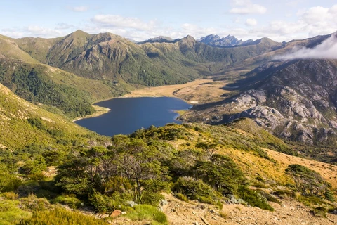 An image depicting the trail Anatoki and Waingaro Track and its surrounding area.