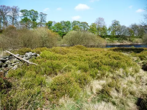 Royd Moor Reservoir Loop