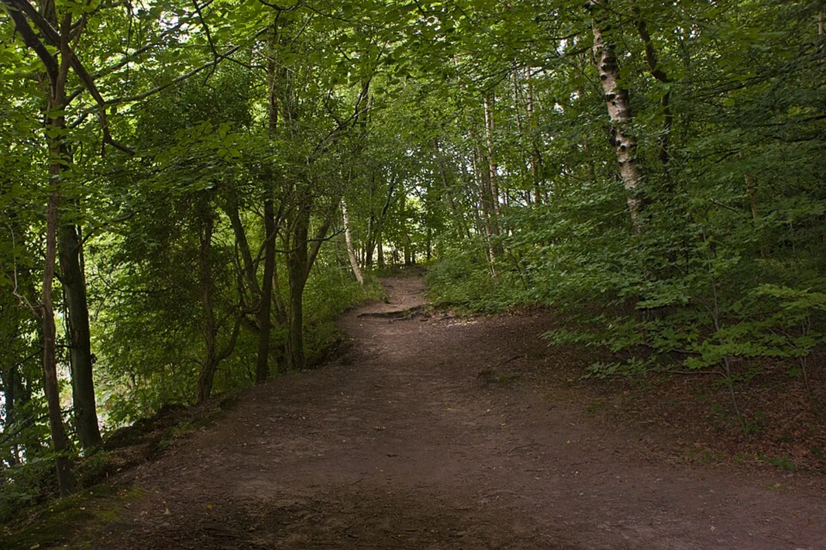 Dinkley Circular Walk