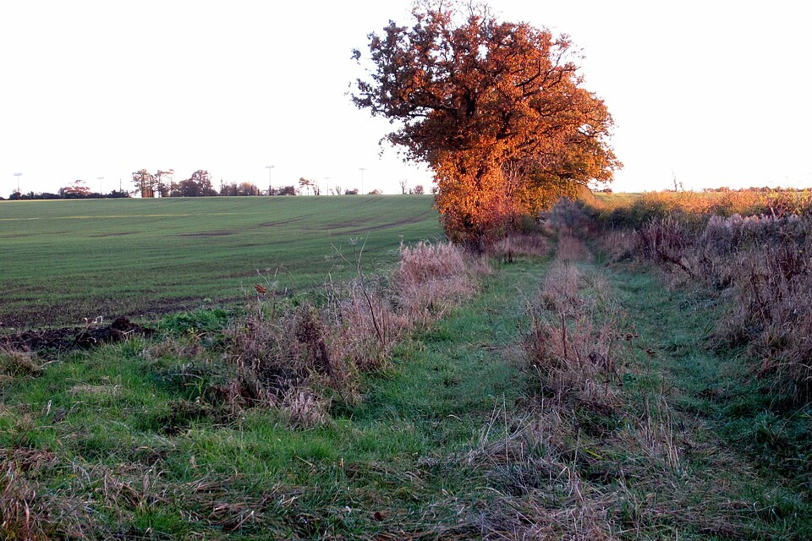 An image depicting the trail Olney and Clifton Reynes Loop and its surrounding area.