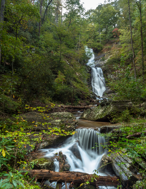 An image depicting the trail Falls Branch Trail and its surrounding area.