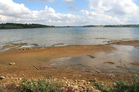 Lapwing Wood and Lake Loop