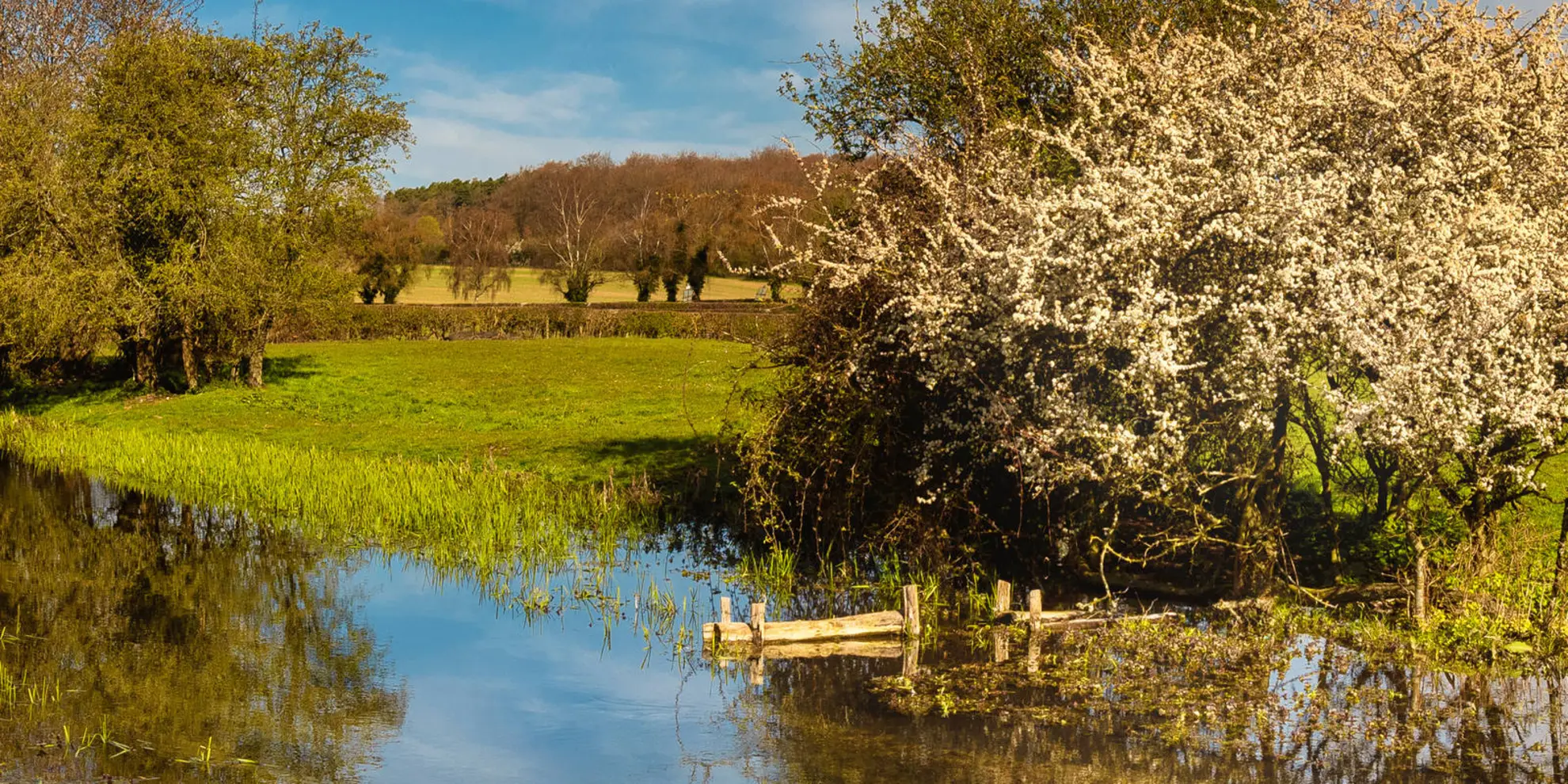 An image depicting the trail Little Missenden and Holmer Green and its surrounding area.
