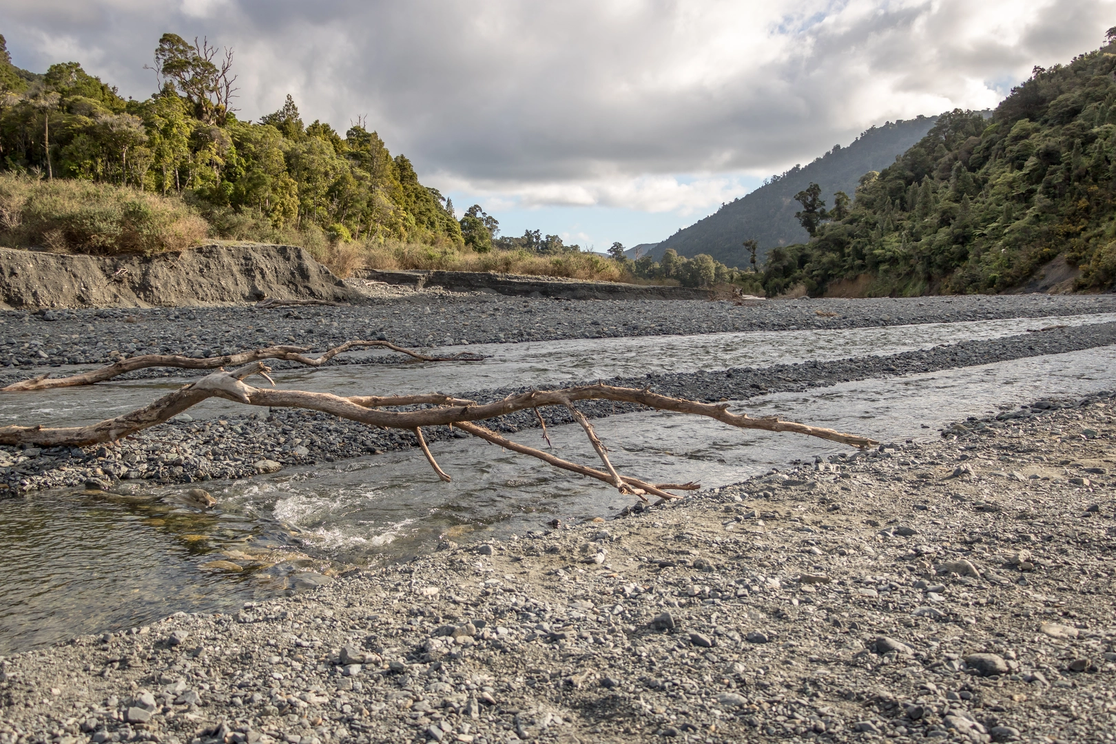 An image depicting the trail Big Bend Track and its surrounding area.