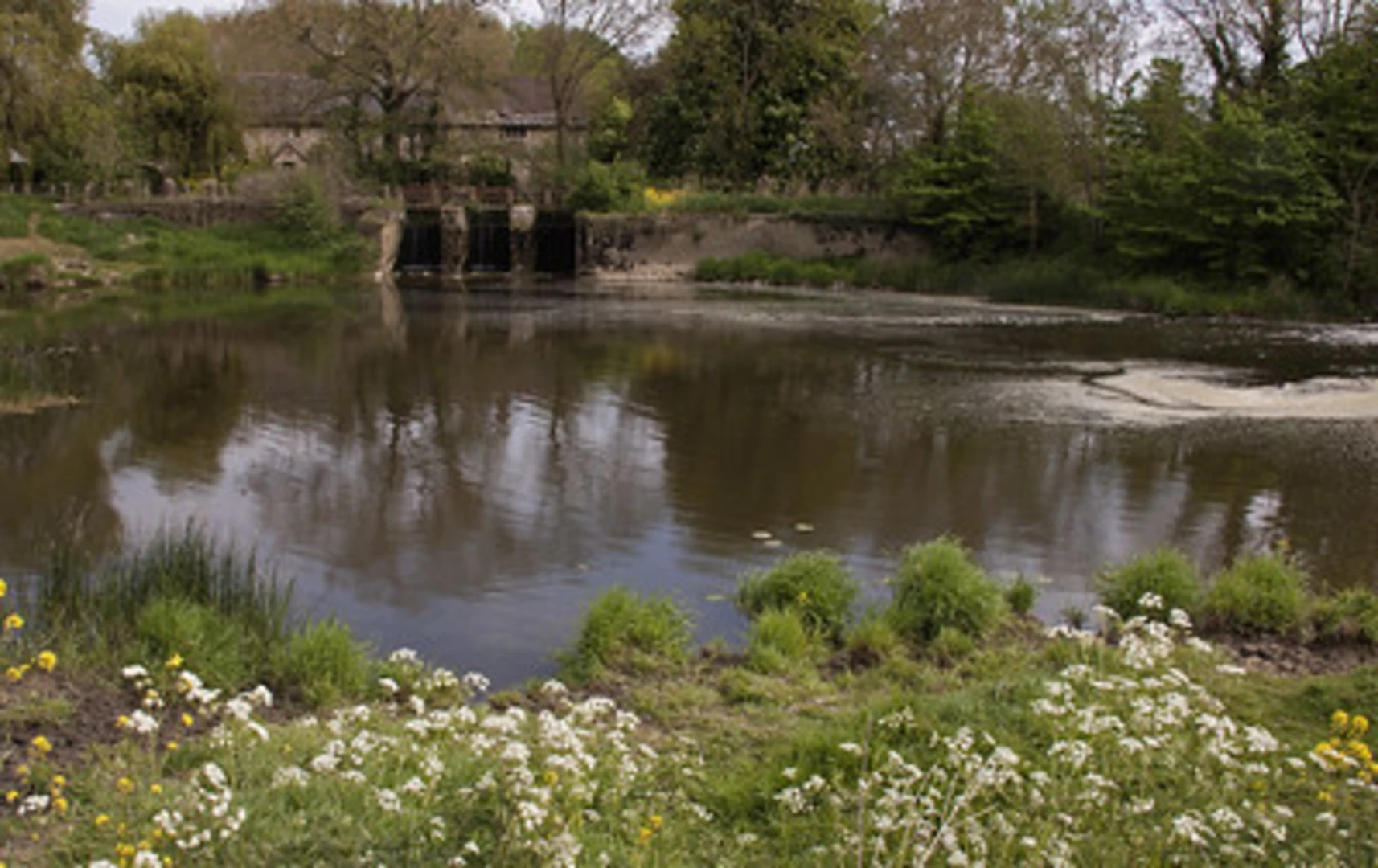 An image depicting the trail Sturminster Newton Loop and its surrounding area.