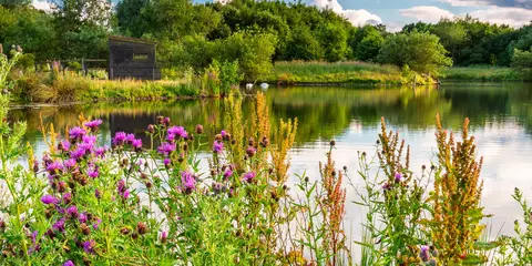 An image depicting the trail Cheshire Ring Canal Walk and its surrounding area.