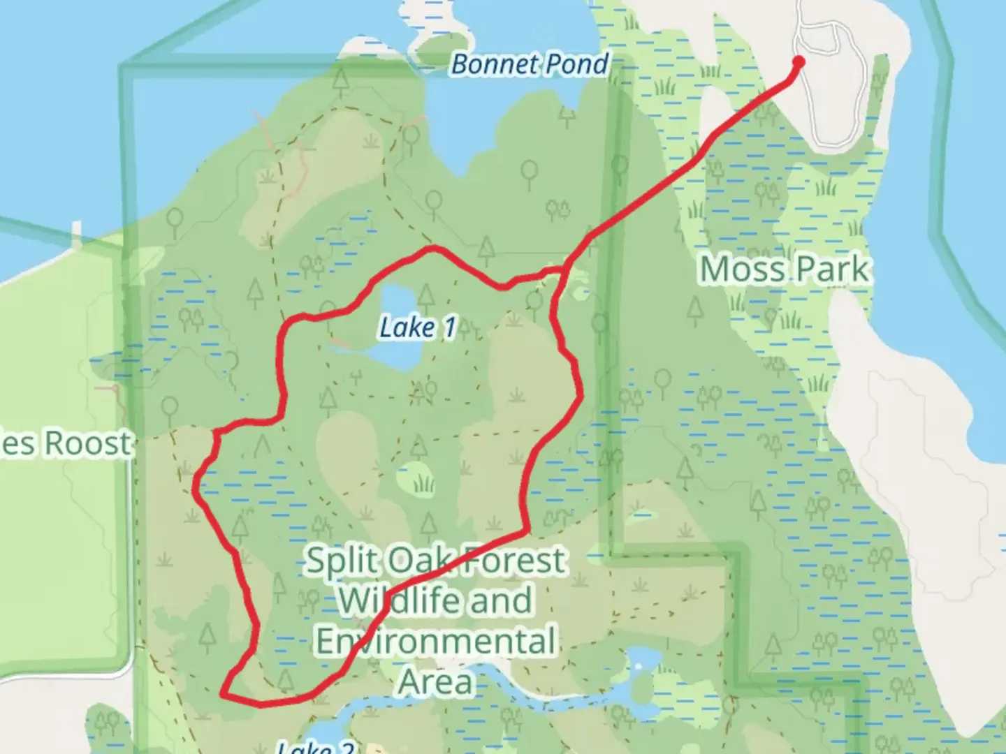 An image depicting the trail Center and North-South Loop Trail - Bonnet Pond and its surrounding area.