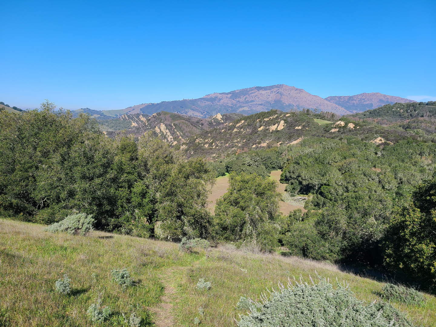 An image depicting the trail Oyster Point Trail and its surrounding area.