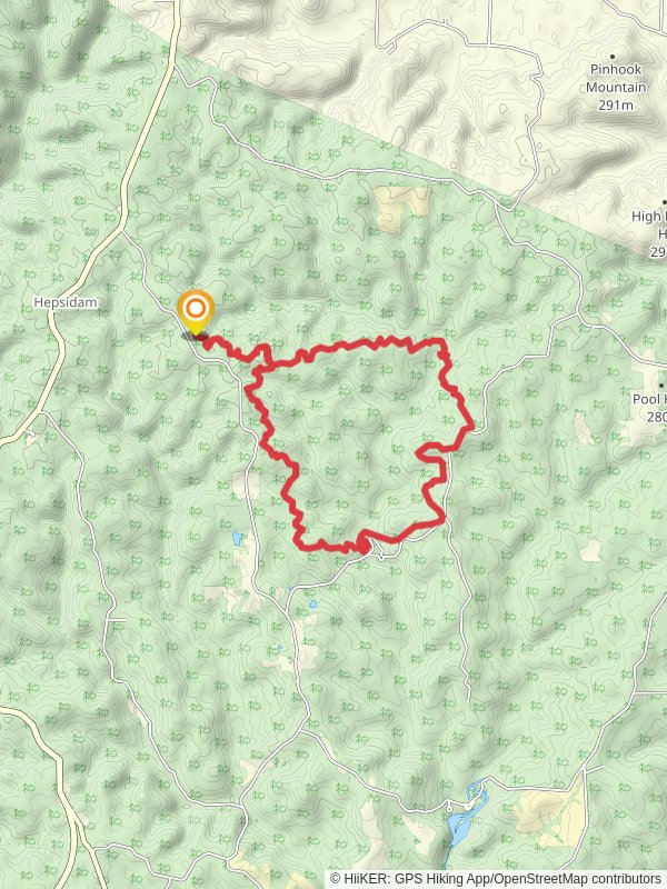 Pine Torch Horse Loop