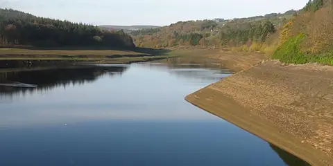 An image depicting the trail More Hall Reservoir and its surrounding area.