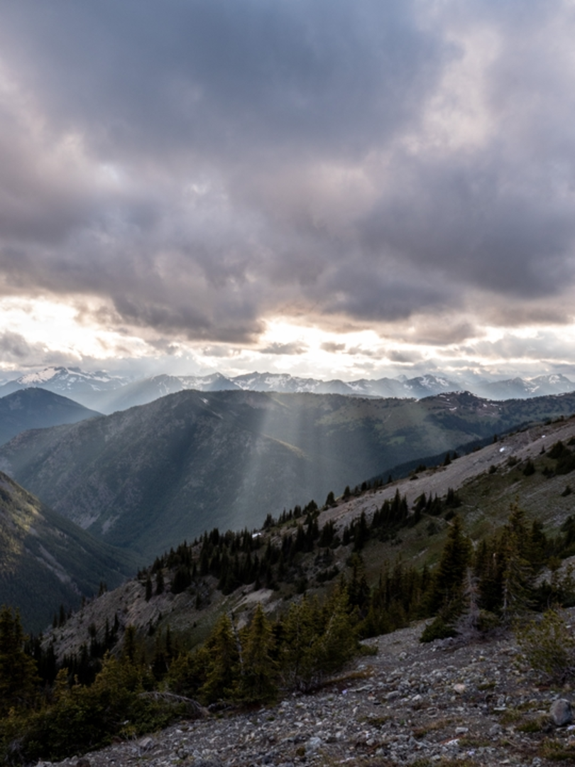 An image depicting the trail Whistler Cutoff Trail via Buckskin Ridge Trail and its surrounding area.