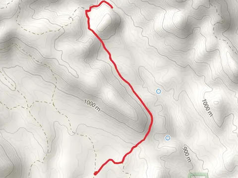 Coon Creek Out and Back