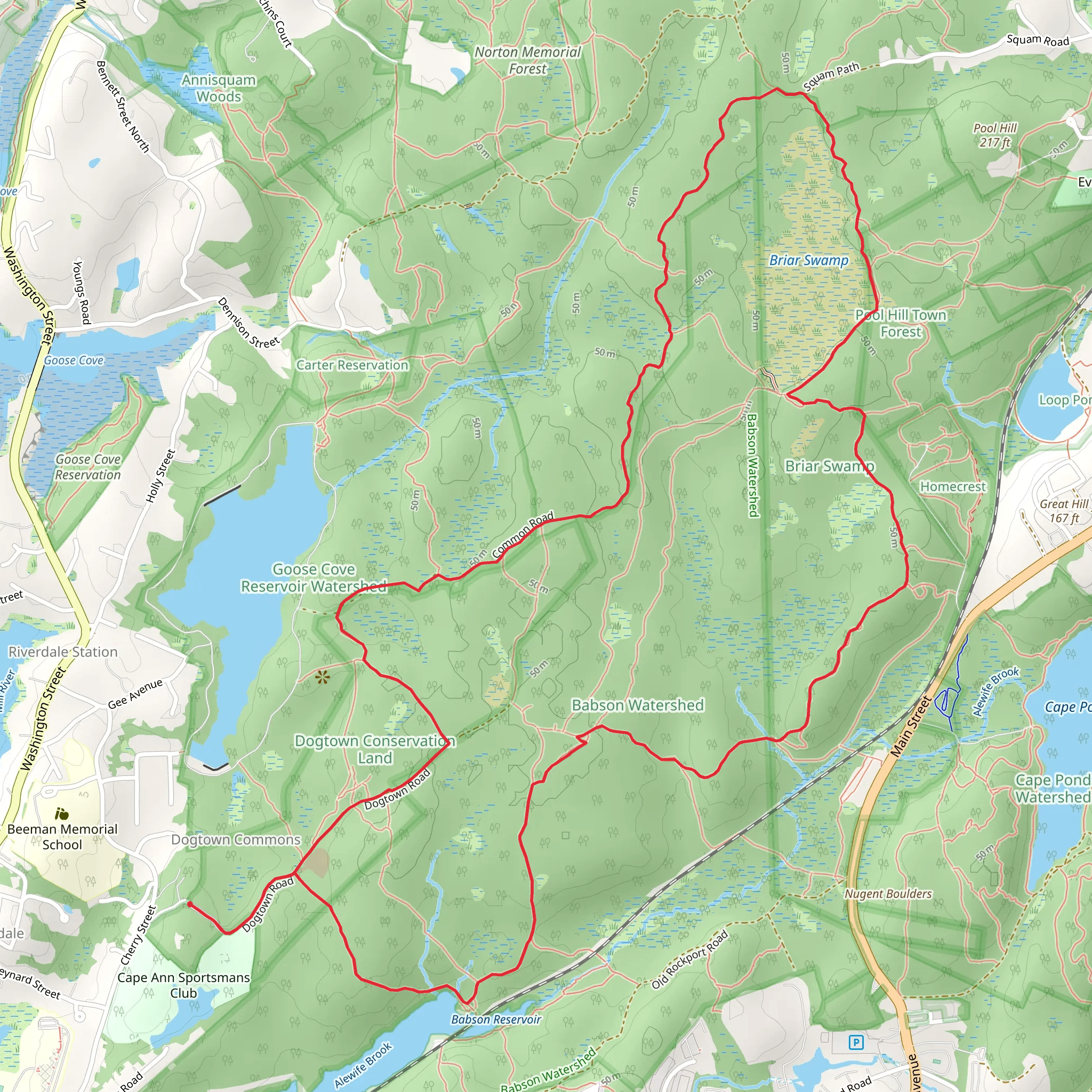 Babson Boulder Trail, Dinosaur and Adams Pines Trail Loop mobile static map