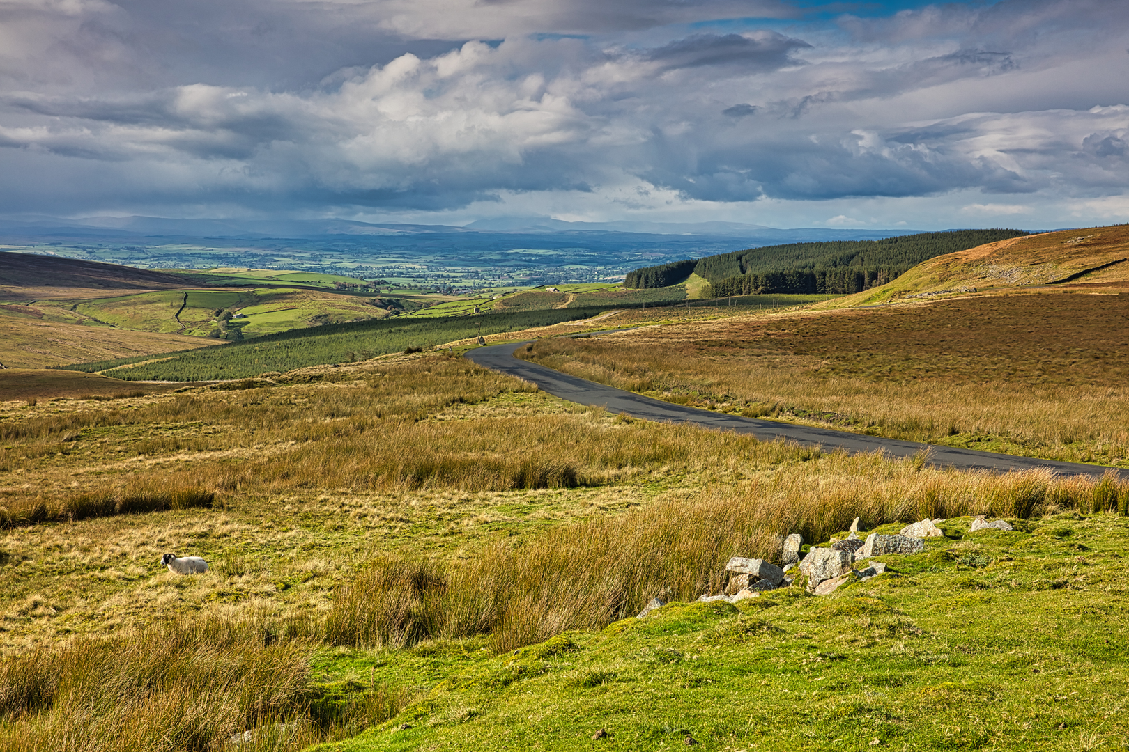 An image depicting the trail Leyburn to Richmond via Pennine Bridleway and its surrounding area.