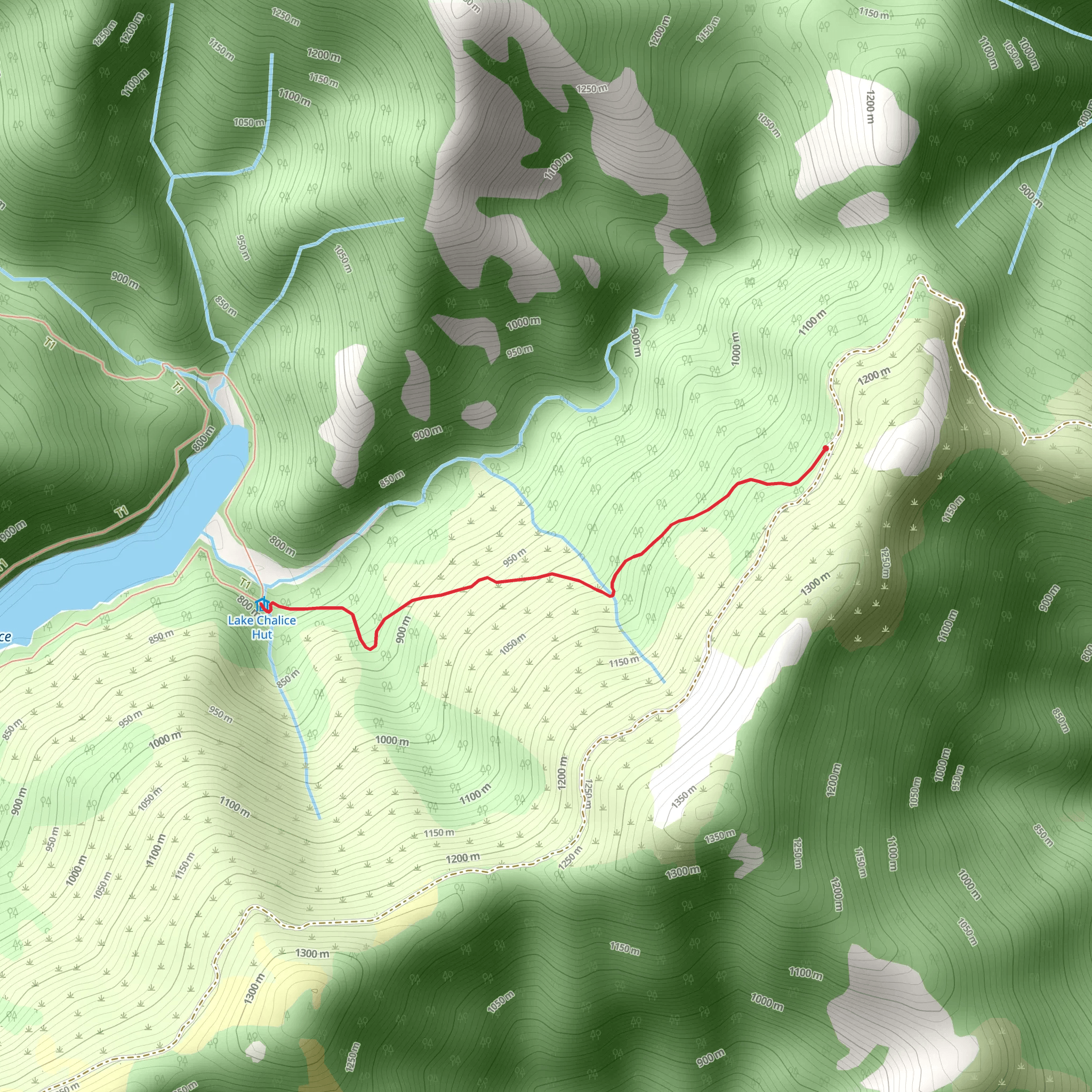 Lake Chalice Hut Track mobile static map