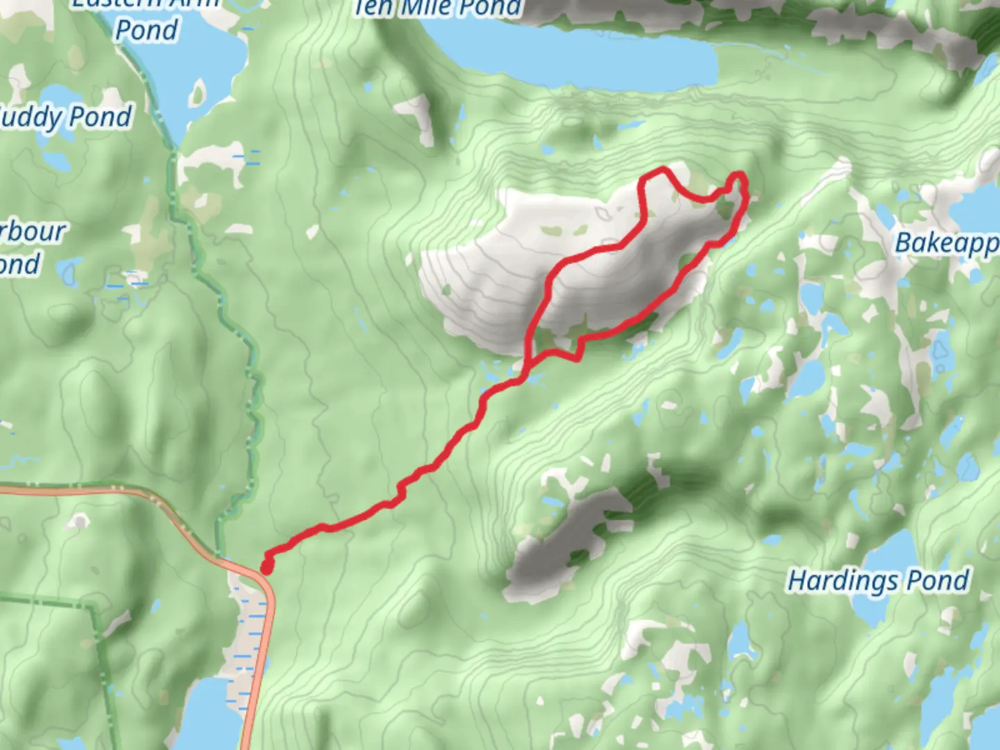 An image depicting the trail Gros Morne Mountain Trail and its surrounding area.