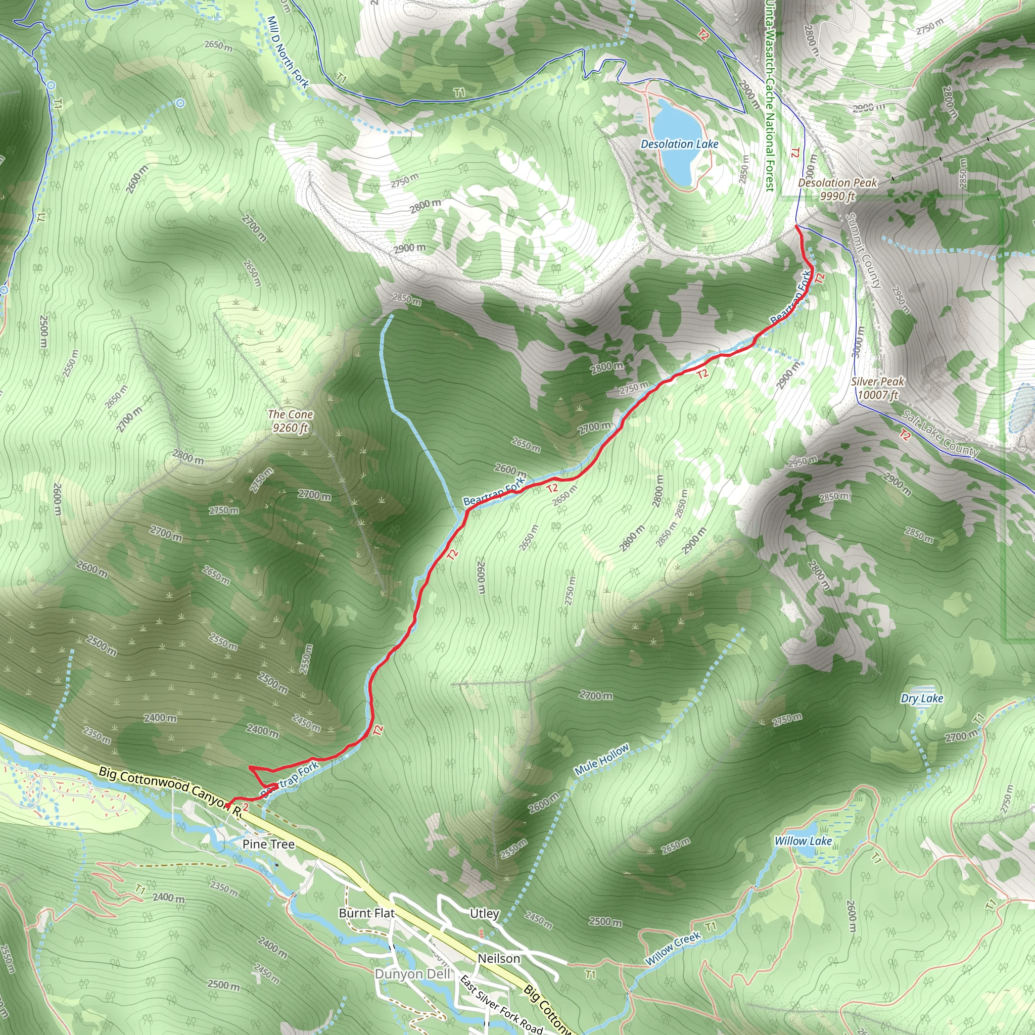 Desolation Peak via Beartrap Fork Trail mobile static map
