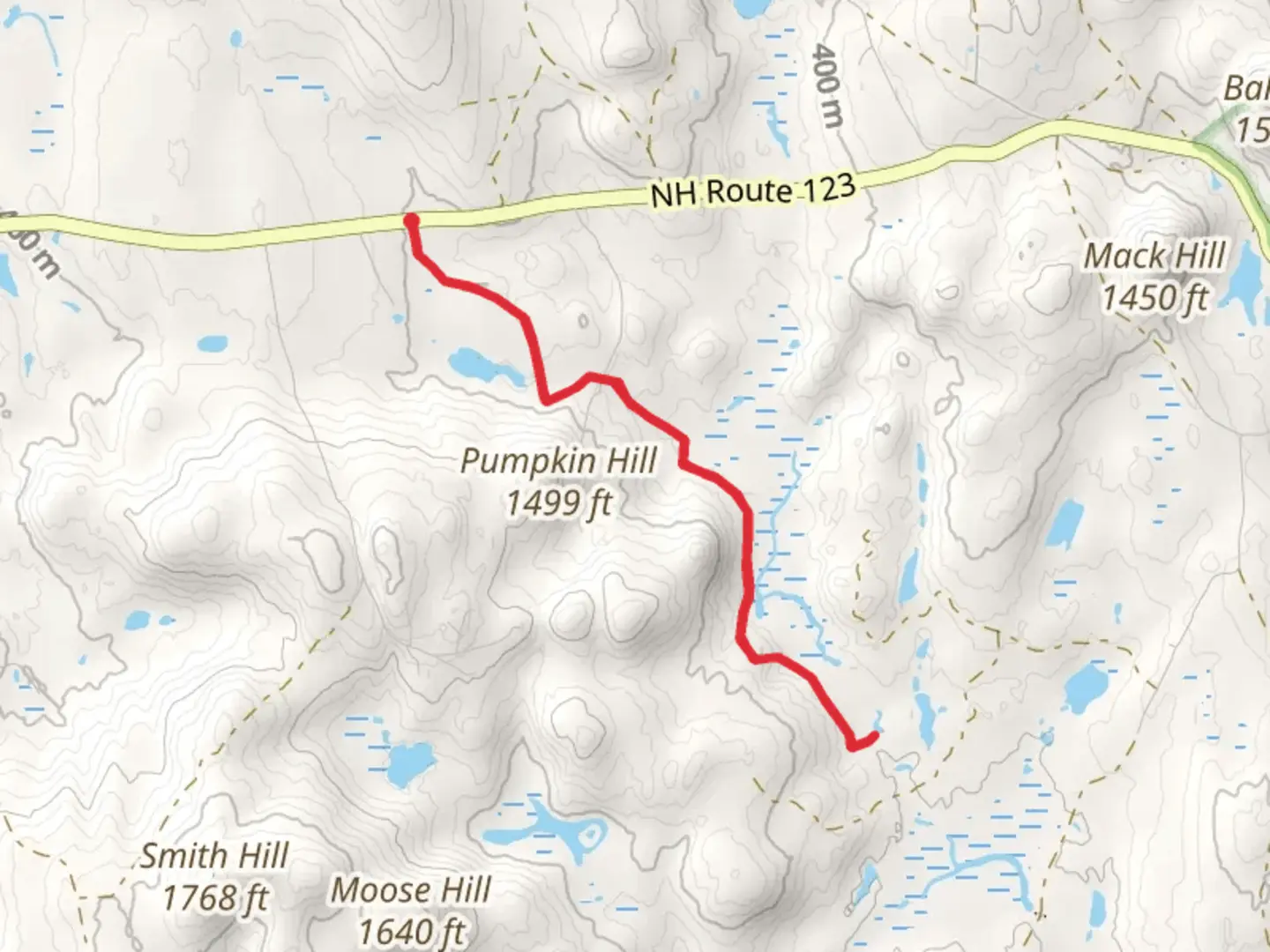An image depicting the trail Duck Hole Pond Trail via Forest Road and its surrounding area.