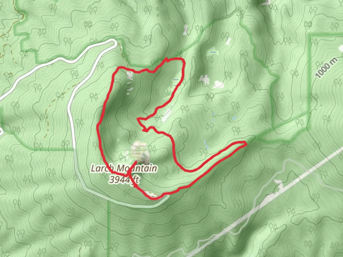 An image depicting the trail Larch Mountain Loop and its surrounding area.