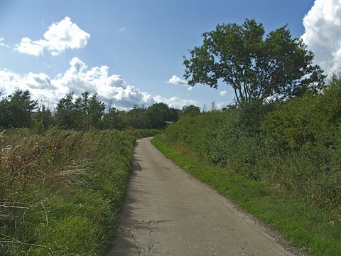 Brambly Shaw and Copthall Green Loop