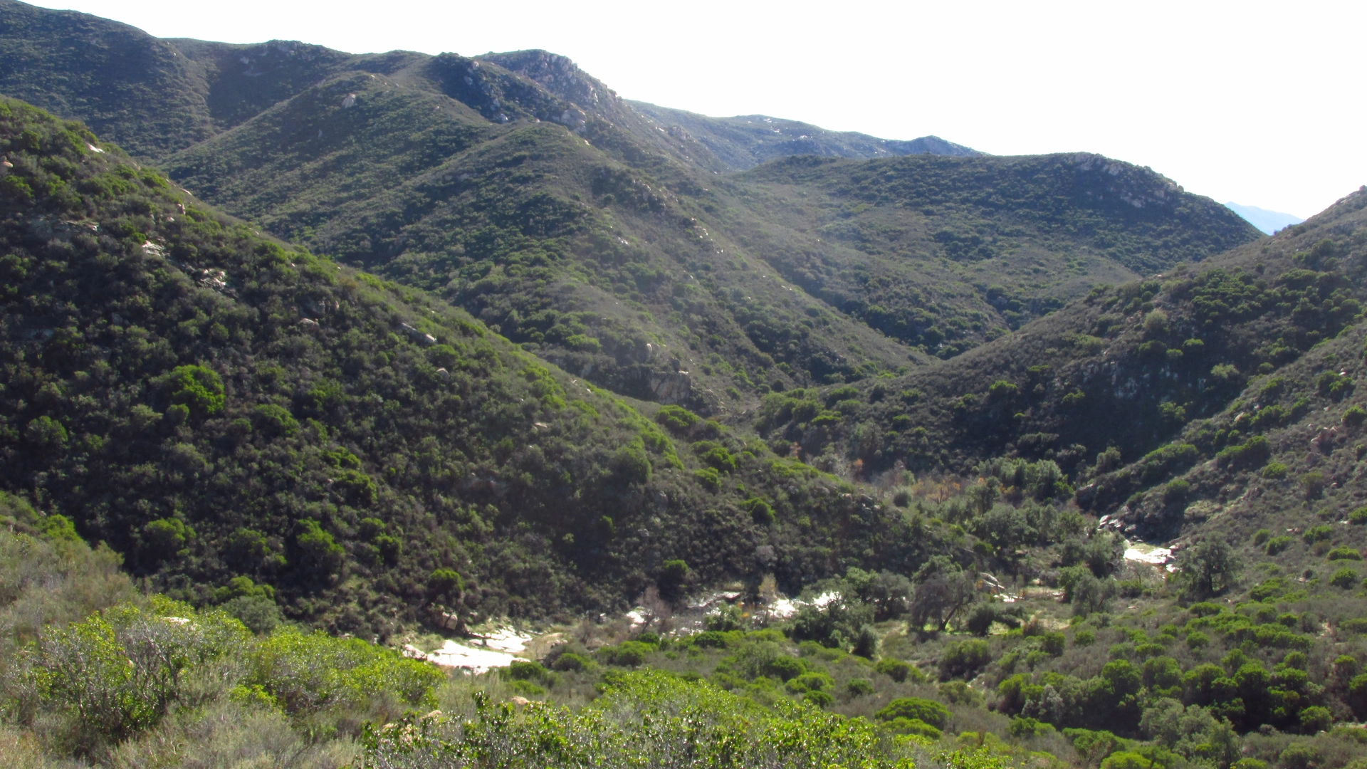 An image depicting the trail Pine Valley Creek - Espinosa Trail and its surrounding area.