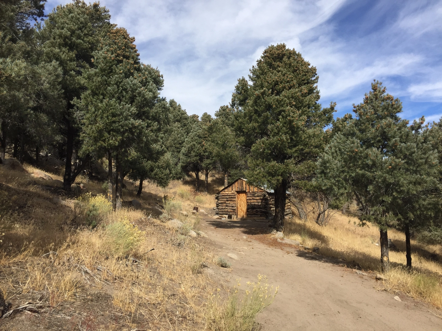 An image depicting the trail Hunter Mountain Road and its surrounding area.