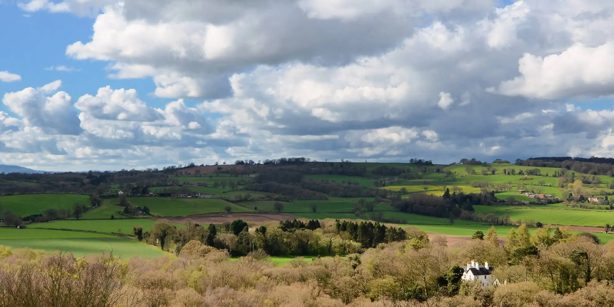 An image depicting the trail Woodland Trail and its surrounding area.