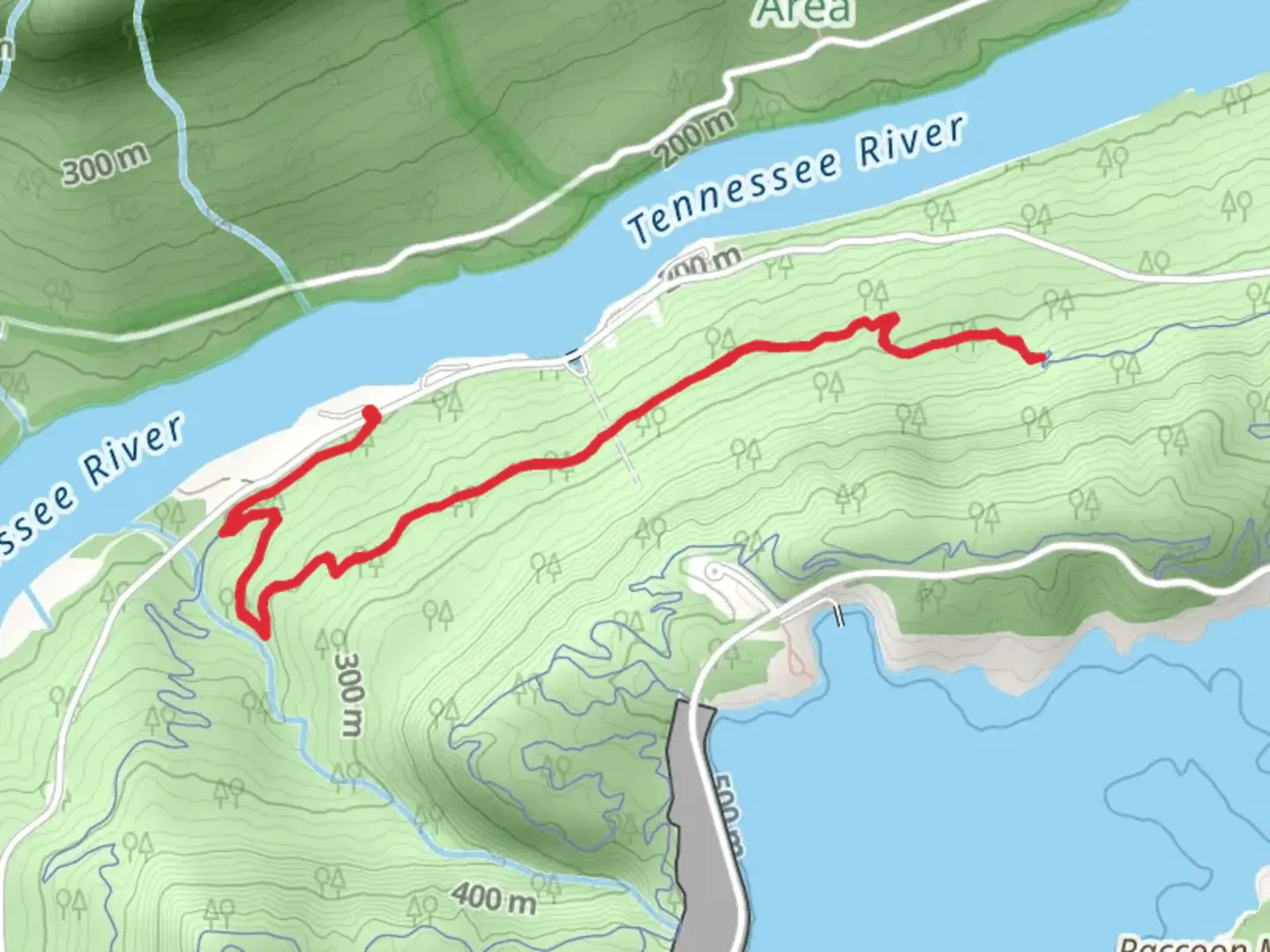 An image depicting the trail Live Wire 2 and its surrounding area.