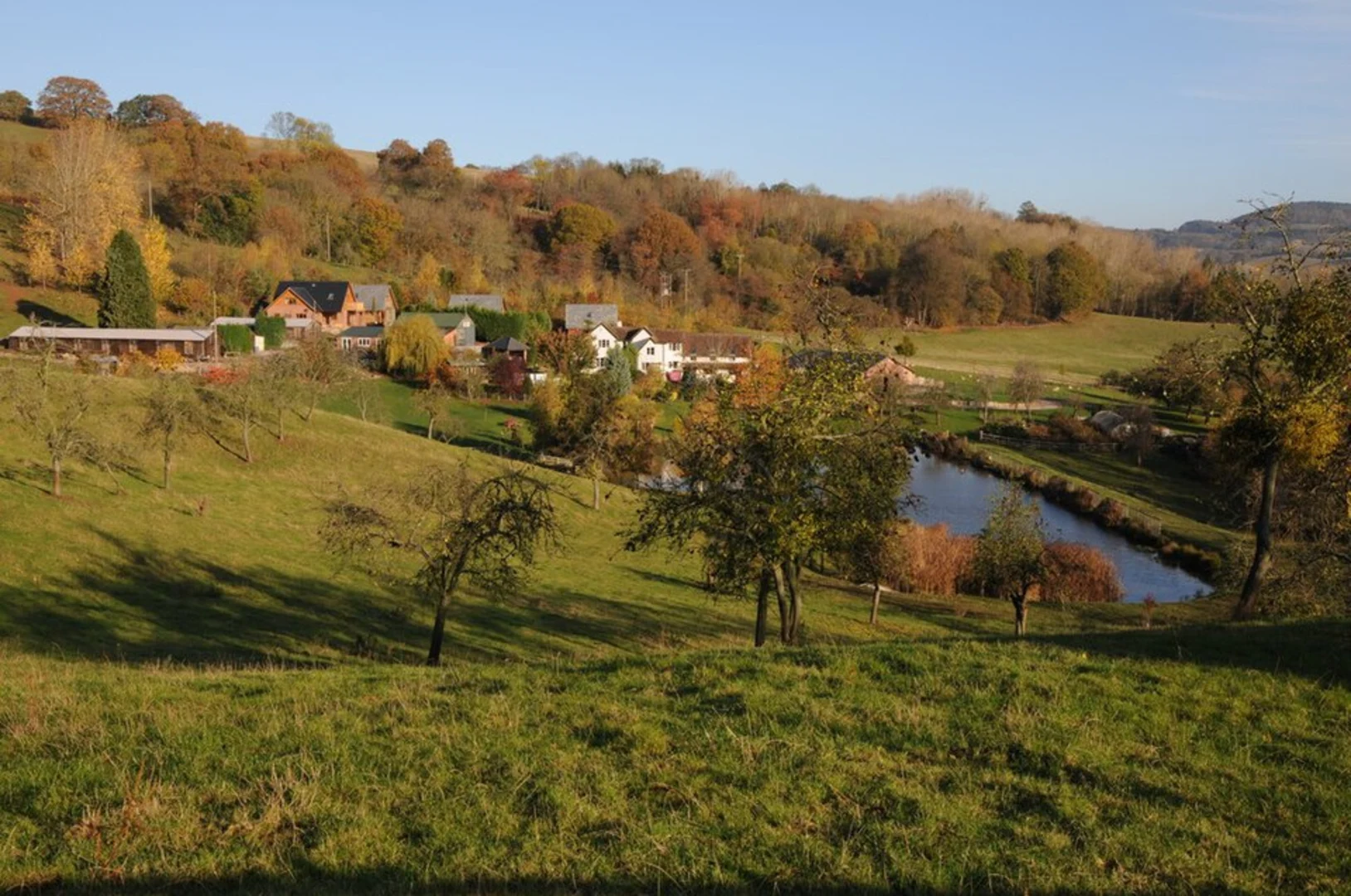 An image depicting the trail Clifton Loop and its surrounding area.