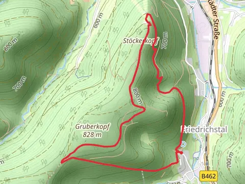 Wasenhütte and Stockerkopf Loop - Friedrichstal