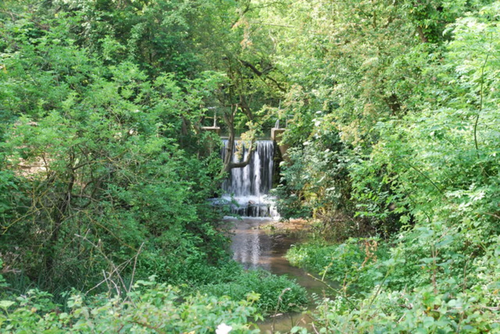 An image depicting the trail River Oughtonand and Oughtonhead Common Nature Reserve Loop and its surrounding area.