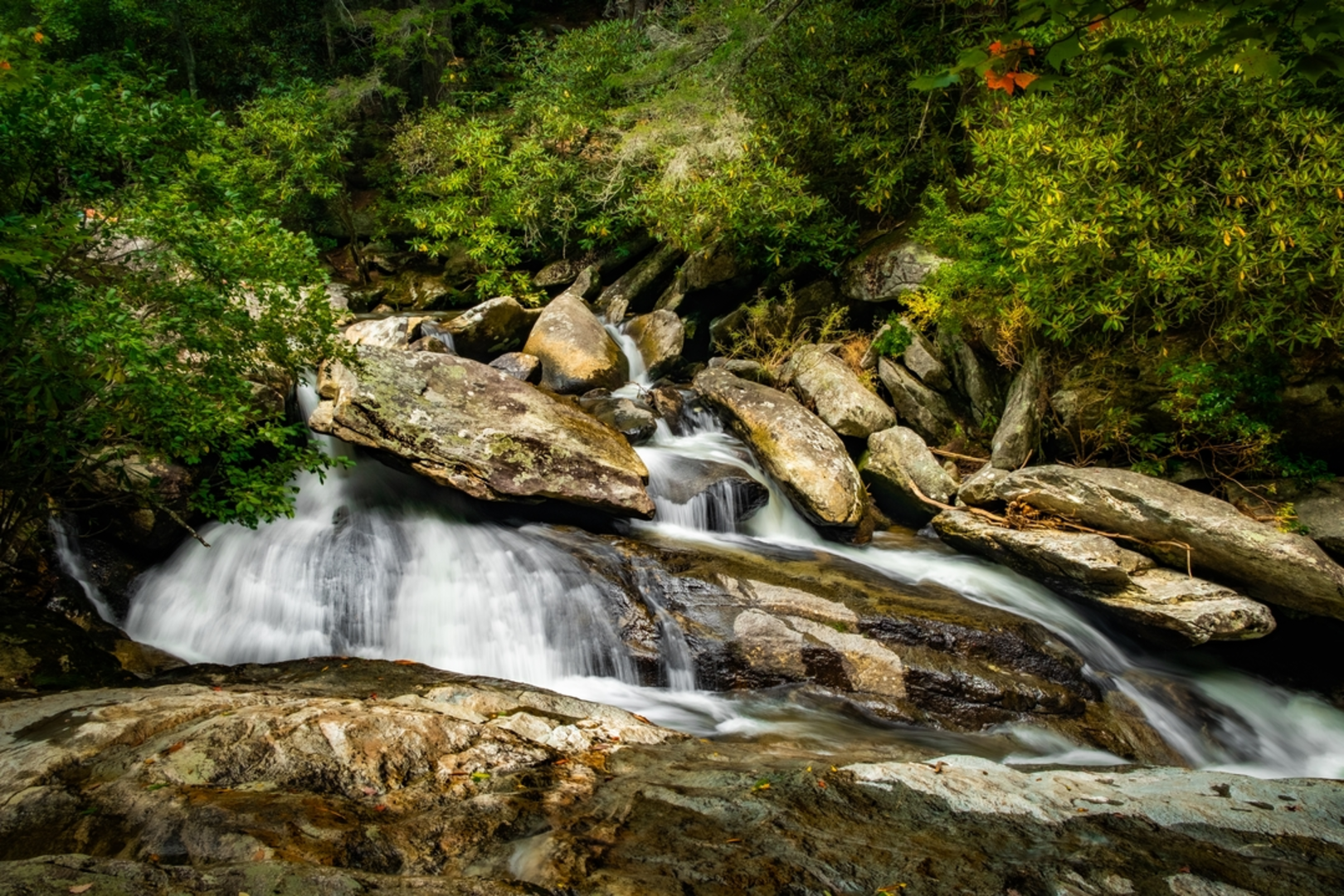 An image depicting the trail Upper Creek Falls Loop Trail and its surrounding area.