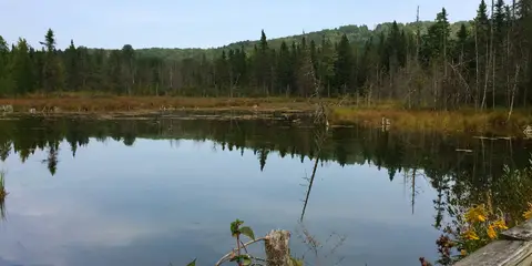 An image depicting the trail Jordan Valley Pathway and its surrounding area.