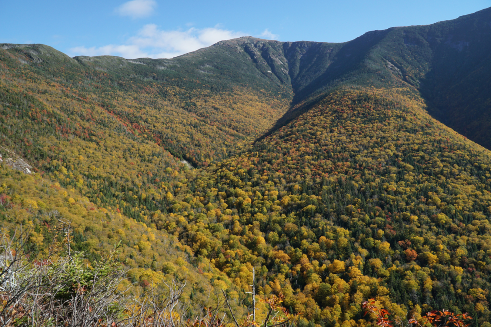 An image depicting the trail Mount Lafayette via Skookumchuck Trail and its surrounding area.