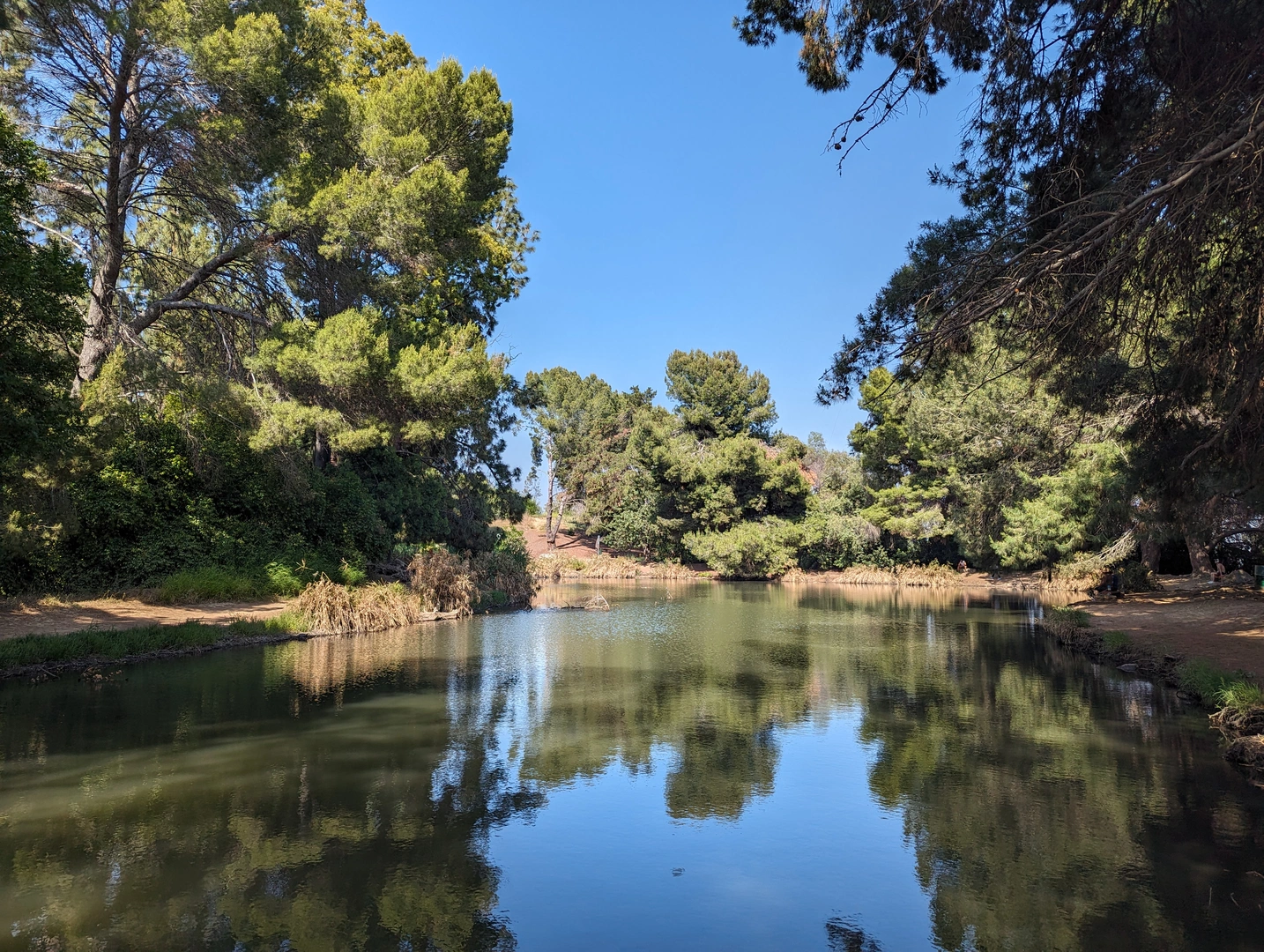 An image depicting the trail Valley View, Oak Grove and Debs Lake Loop Trail and its surrounding area.