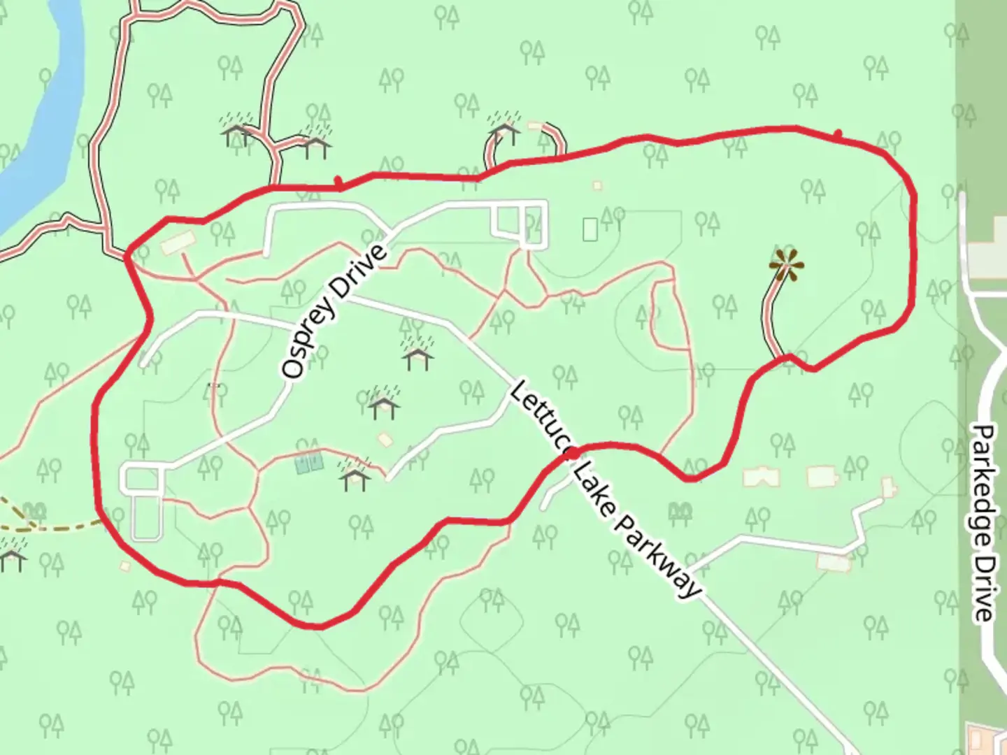 An image depicting the trail Lettuce Lake Parkway Loop and its surrounding area.