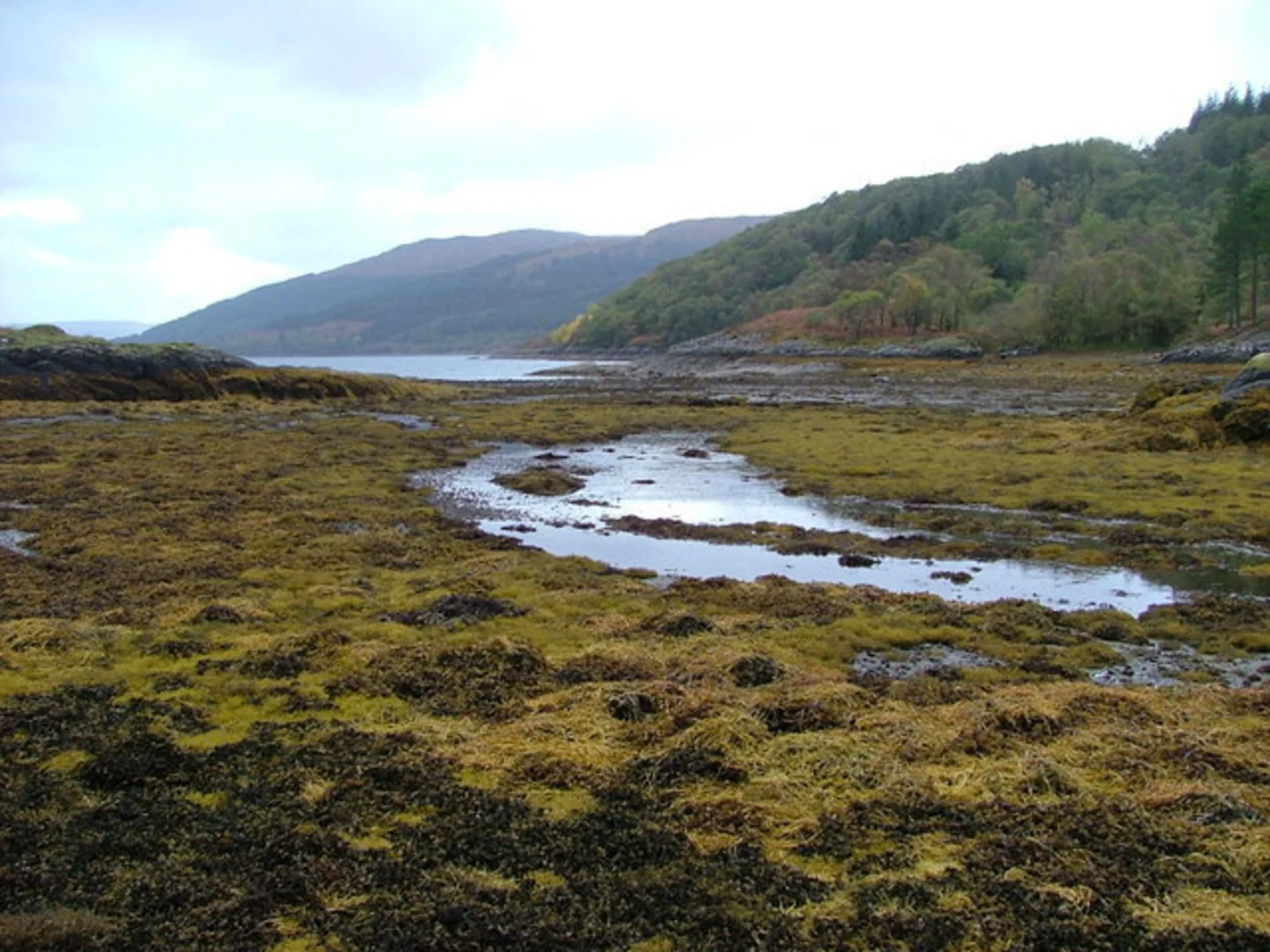 An image depicting the trail Sàilean nan Cuileag Loop Trail and its surrounding area.