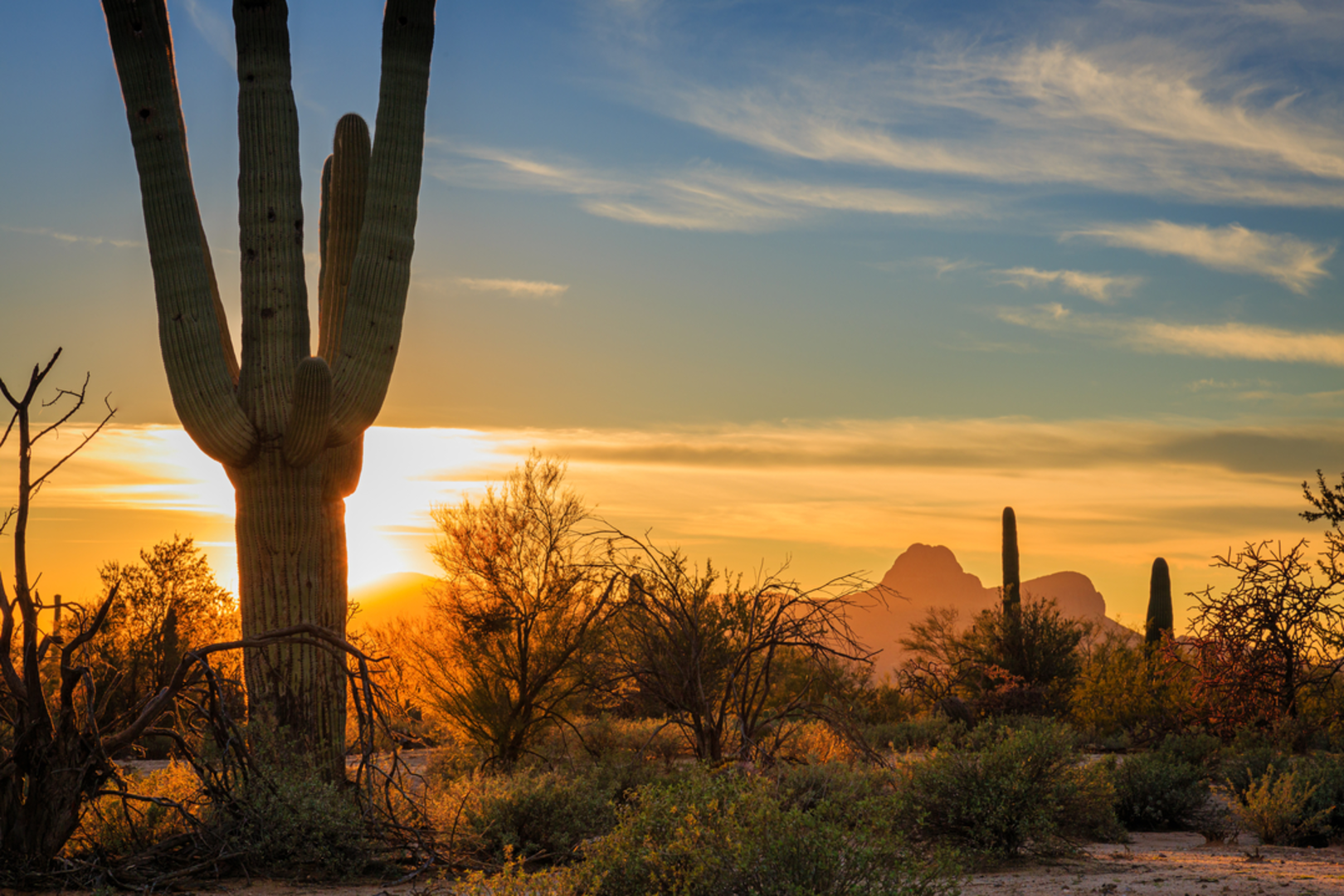 An image depicting the trail Safford Peak Trail and its surrounding area.