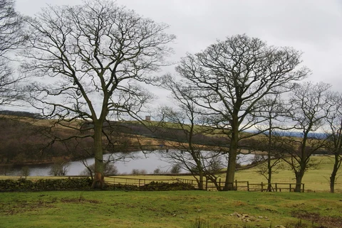 Lyme Park and Reservoirs Loop