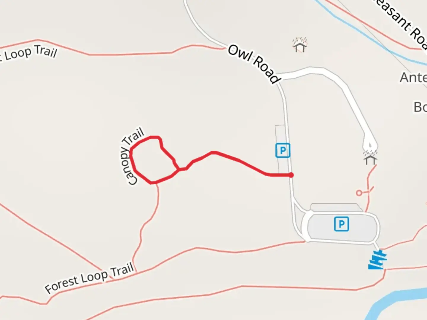 An image depicting the trail Canopy Trail and its surrounding area.