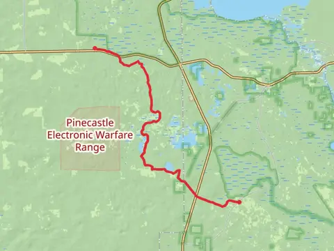 Florida Trail from Alexander Springs