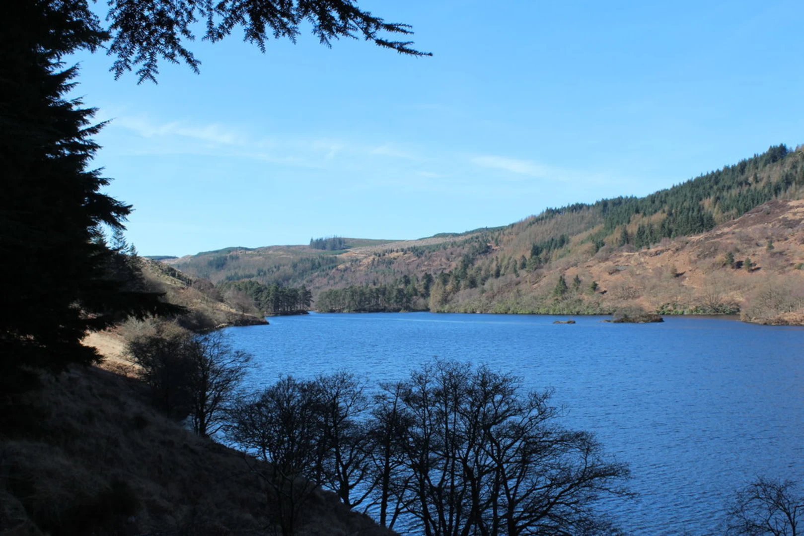 An image depicting the trail Loch Trool Loop Trail and its surrounding area.